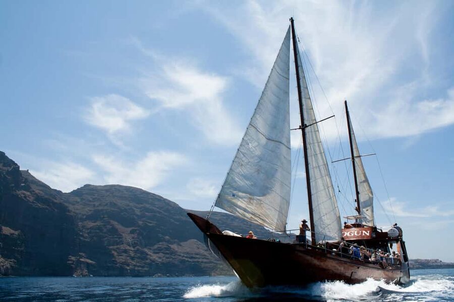Costa Adeje: Respectful Whale-Watching Sailboat Tour & swim - The west coast whale hunt: what you’re really trying to see