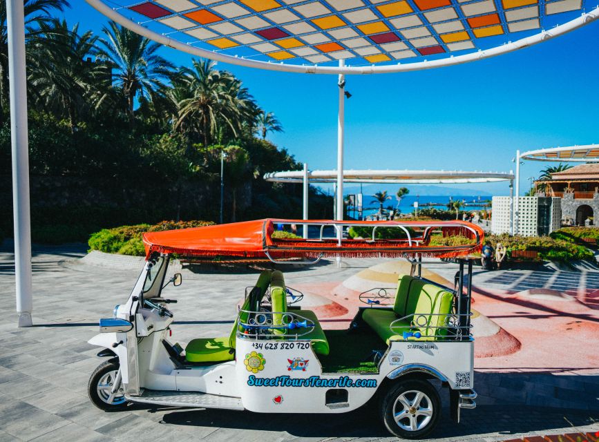 Costa Adeje: Tuk Tuk Tour - Sound, comfort, and who should choose private