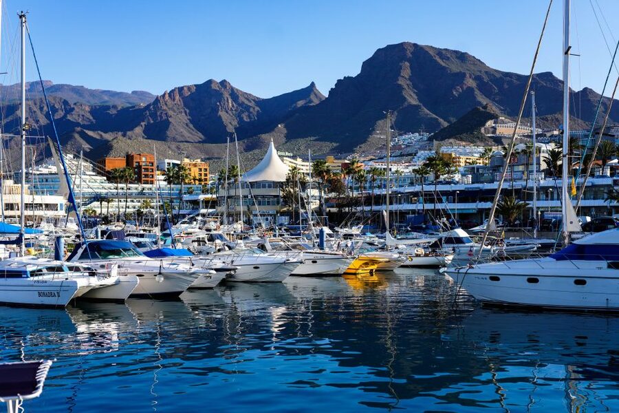 Costa Adeje: Tuk Tuk Tour - La Caleta fisher village: the most “get out and look” part