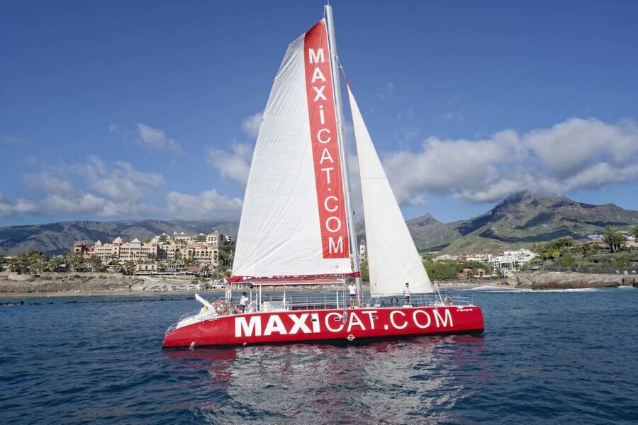 Costa Adeje: Whale and Dolphin Cruise with Food and Pickup - Diego Hernandez Bay: where you swim, snorkel, and possibly spot turtles