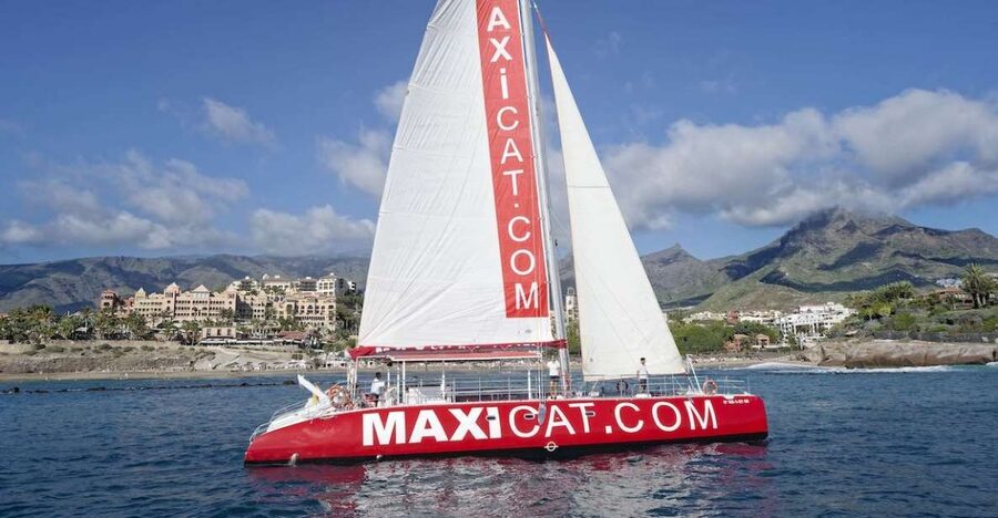 Costa Adeje: Whale and Dolphin Cruise with Food and Pickup - The catamaran ride and the crew’s whale-and-dolphin search