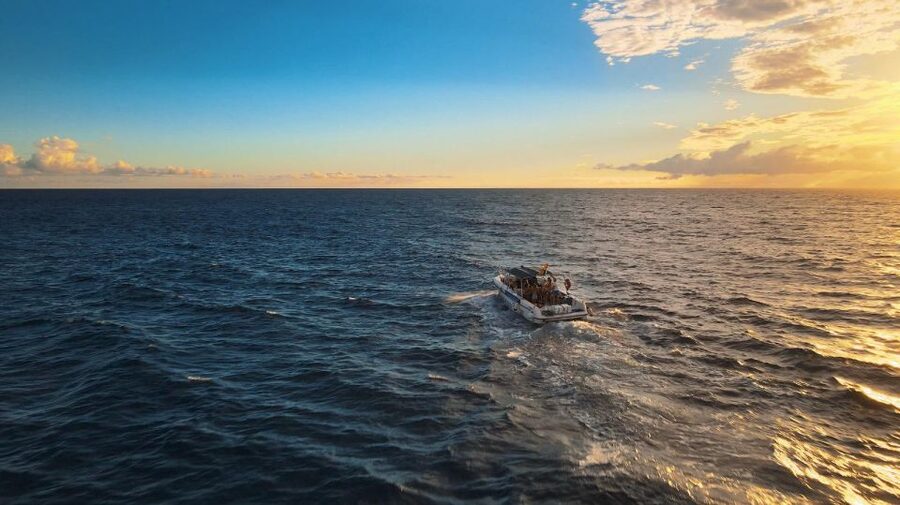 Costa Adeje: Whale and Dolphin-Watching Boat Excursion - Puerto Colón timing: guided time near the prime open-water zone