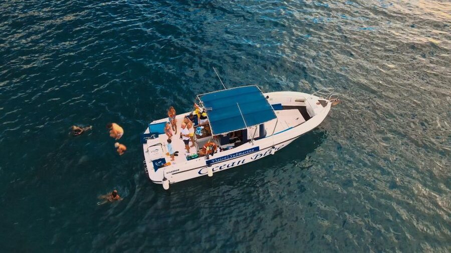 Costa Adeje: Whale and Dolphin-Watching Boat Excursion - Why the guide can make or break your sighting