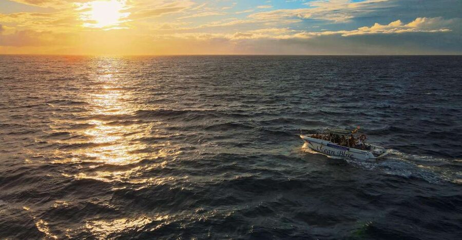 Costa Adeje: Whale and Dolphin-Watching Boat Excursion - The 2 hours on the water, and why it feels manageable