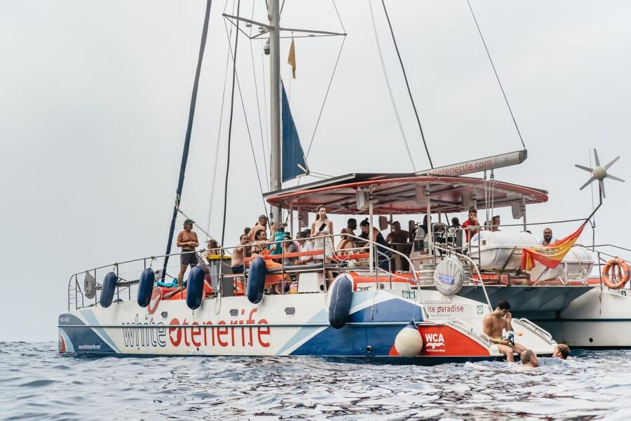 Costa Adeje: Whale & Dolphin Eco-Cruise with Snacks & Drinks - Teno-Rasca Sanctuary Spotting: Dolphins, Pilot Whales, and Calm Watching