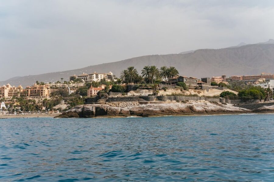 Costa Adeje: Whale & Dolphin Eco-Cruise with Snacks & Drinks - The Underwater Sound System: Why Listening Changes Everything