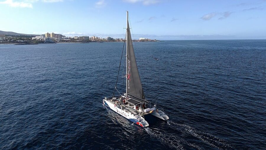 Costa Adeje: Whale & Dolphin Eco-Cruise with Snacks & Drinks - 3-Hour vs 5-Hour: What Changes on the Extended Cruise