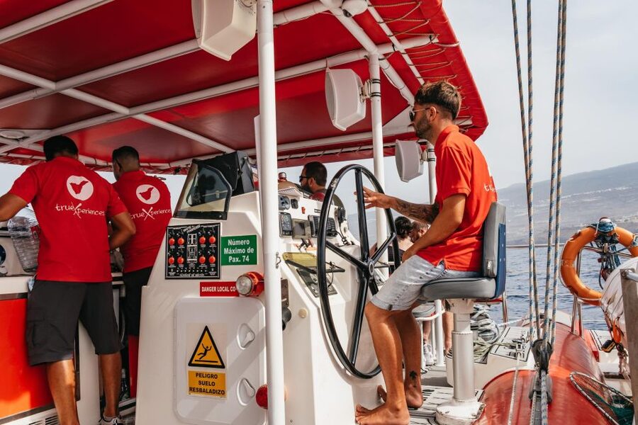 Costa Adeje: Whale & Dolphin Eco-Cruise with Snacks & Drinks - Sea Conditions and Seasickness: The Real Thing to Plan For