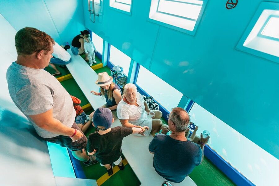 Costa Adeje: Whale & Dolphin Submarine Vision Mini Cruise - Should You Book This Costa Adeje Whale and Dolphin Submarine Cruise?