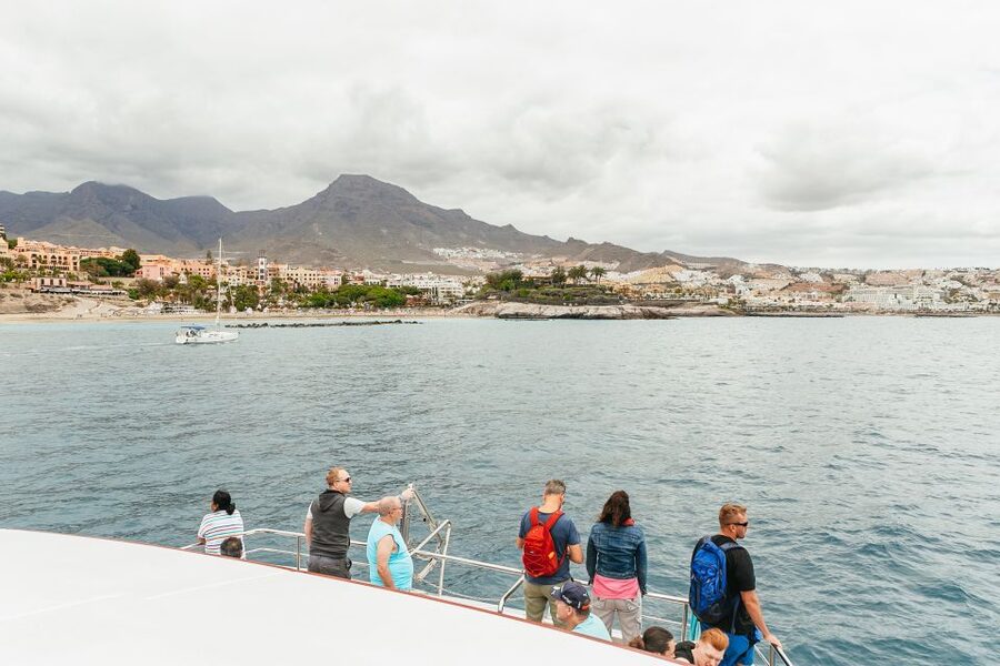 Costa Adeje: Whale & Dolphin Submarine Vision Mini Cruise - What Happens During the 2 Hours on the Water