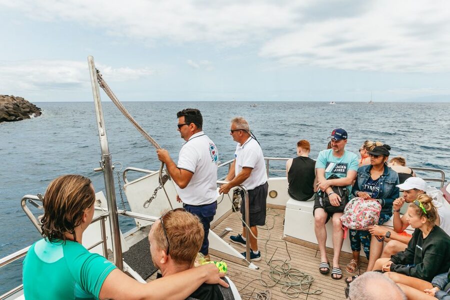 Costa Adeje: Whale & Dolphin Submarine Vision Mini Cruise - Spotting Pilot Whales and Dolphins the Smart Way