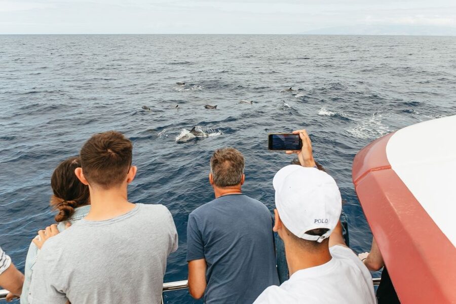 Costa Adeje: Whale & Dolphin Submarine Vision Mini Cruise - Below-Deck Windows: The Best Close-Up Moments