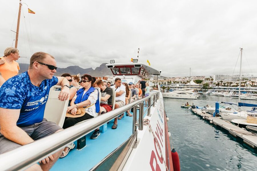 Costa Adeje: Whale & Dolphin Submarine Vision Mini Cruise - Coast Views, Photo Stop, and a Relaxed Return
