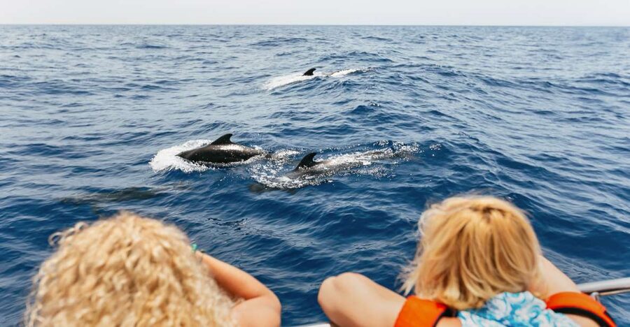 Costa Adeje: Whale Watching Catamaran Tour with Drinks - Puerto Colón to the whale zone: what the timing really feels like