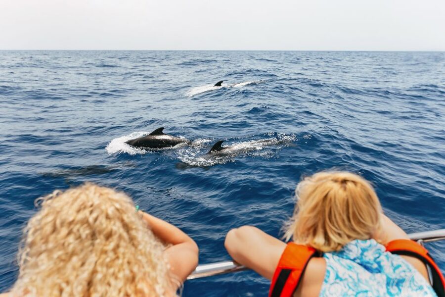 Costa Adeje: Whale Watching Catamaran Tour with Drinks - Pilot whales, dolphins, and the fish farm detail you should not ignore