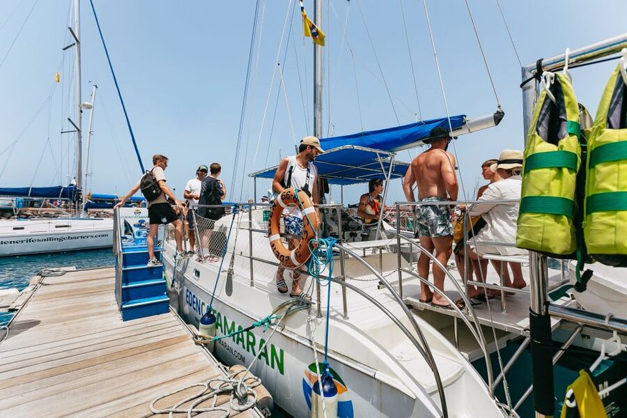 Costa Adeje: Whale Watching Catamaran Tour with Drinks - Wildlife-safe rules that also make your experience better