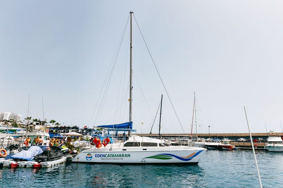 Costa Adeje: Whale Watching Catamaran Tour with Drinks - Price and the built-in safety net: does $41 feel fair?