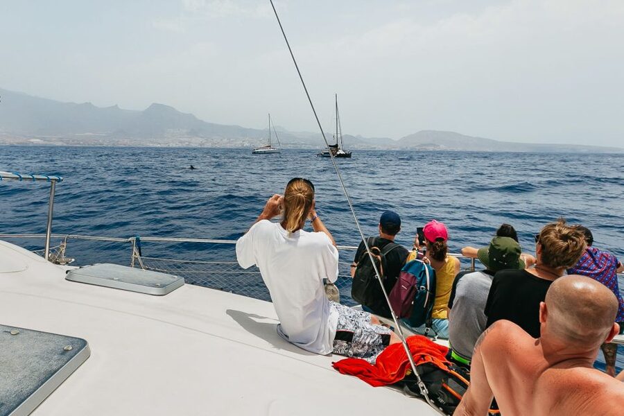 Costa Adeje: Whale Watching Catamaran Tour with Drinks - Who should book this tour, and who should skip it