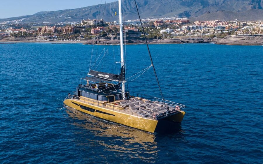 Costa Adeje: Whale Watching Cruise - Key highlights to know before you go