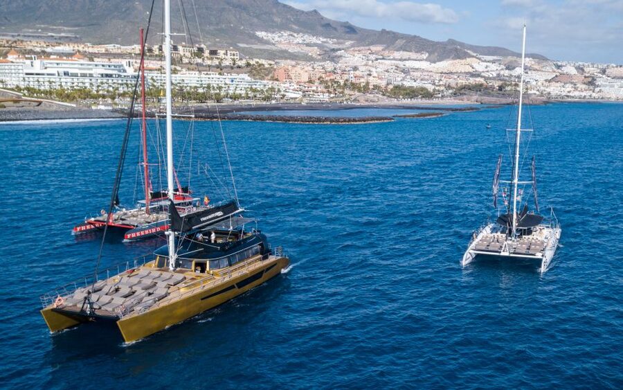 Costa Adeje: Whale Watching Cruise - The Atlantic search for pilot whales and dolphins