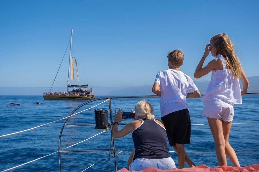 Costa Adeje: Whale Watching Cruise - The live commentary and responsible whale watching piece