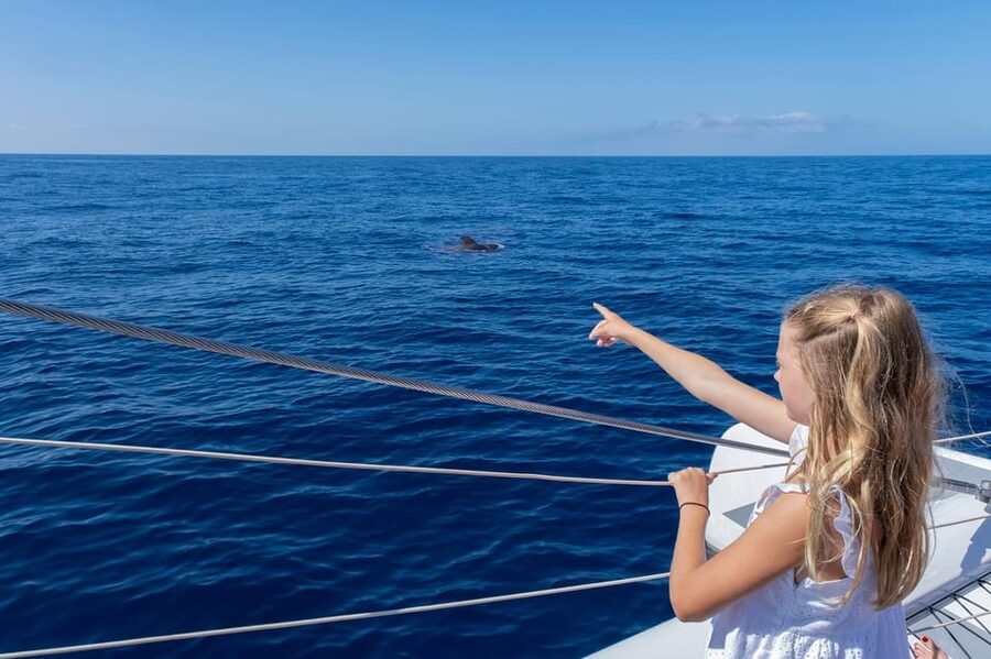 Costa Adeje: Whale Watching Cruise - The swim stop in a calm bay, towel time