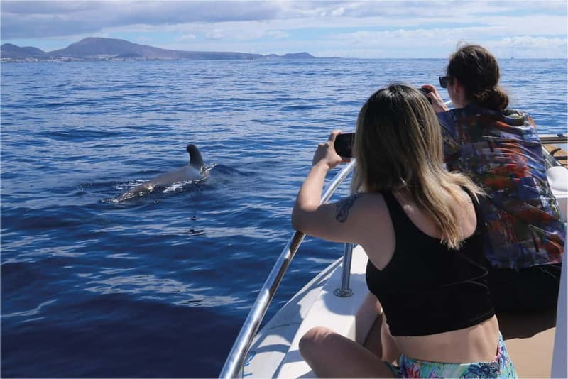 Costa Adeje: Whale Watching Eco Experience with Hydrophone. - Key highlights you will feel on the water