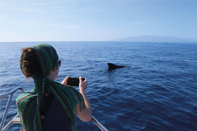 Costa Adeje: Whale Watching Eco Experience with Hydrophone. - Hydrophone listening: catching whale and dolphin sounds