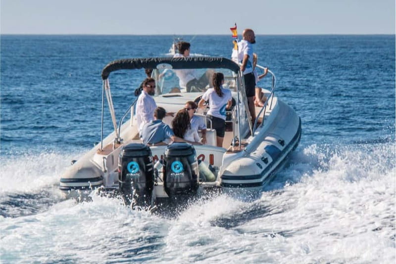 Costa Adeje: Whale Watching Eco Experience with Hydrophone. - Sustainability and rescue work: ACEST, research, and rehab
