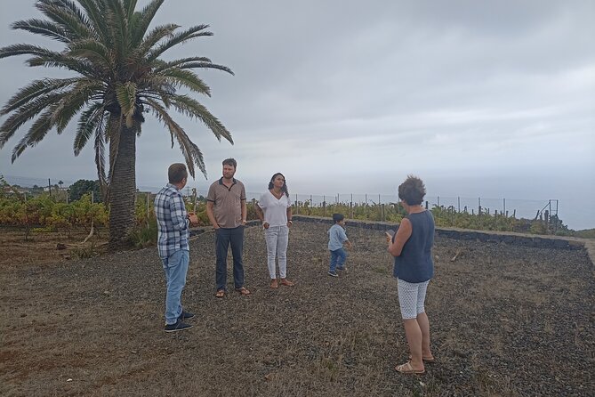 Custom Private Tenerife Full Island VIP Tour - photos included - Stop 3: La Laguna Old Town, UNESCO cobblestones and café energy