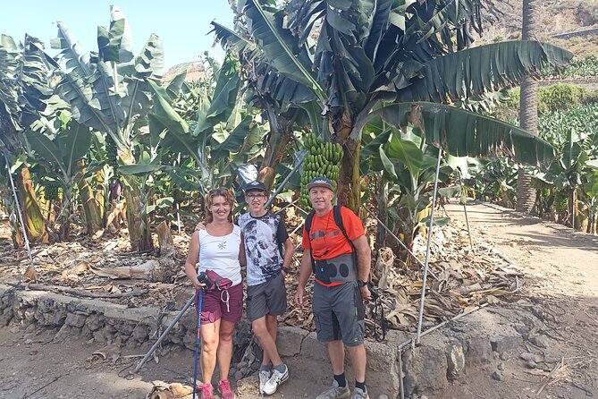 Custom Private Tenerife Full Island VIP Tour - photos included - Stop 6: Optional Canarian lunch, your choice, not a fixed menu