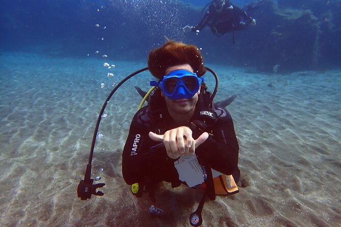 Discover beginner diving in Tenerife - Your First Scuba Session in Abades: What You Really Do