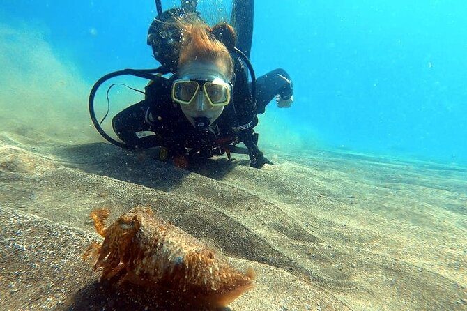 Discover beginner diving in Tenerife - Duration and Timing: Planning Around a 2.5-Hour Experience