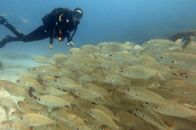 Discover beginner diving in Tenerife - Who This Beginner Scuba Session Is Best For