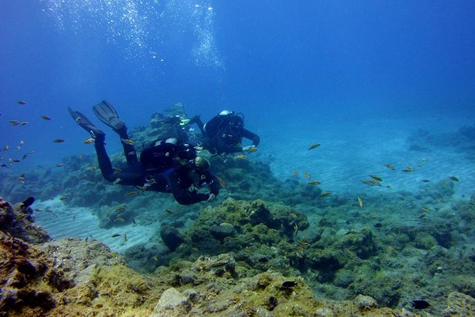Discover Scuba Diving Adventure in Tenerife - Key things that make this Tenerife scuba outing worth your time