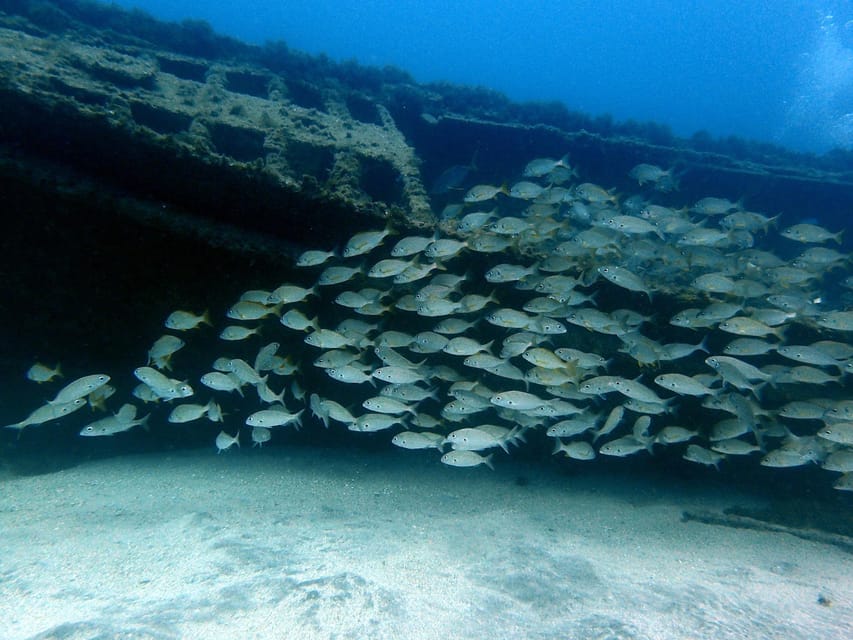 Discover Scuba Diving Experience - The 5-hour itinerary in Tenerife, step by step