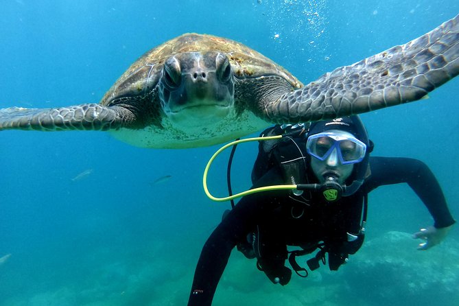 Discover Scuba Diving Experience in Turtle Habitat - What happens before you ever get wet at the meeting center