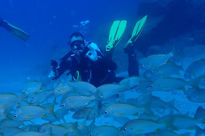 Discover Scuba Diving . First Experience underwater - Safety and support: what you’re really paying for