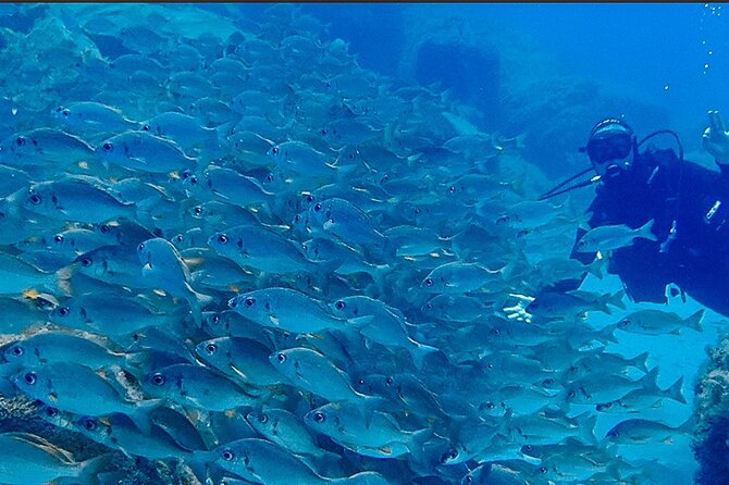 Discover Scuba Diving . First Experience underwater - Group size and language: keeping it smooth