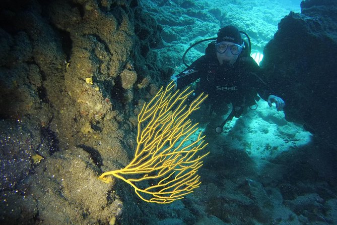 DISCOVER SCUBA DIVING - First step to your certification - Key highlights that matter in real life