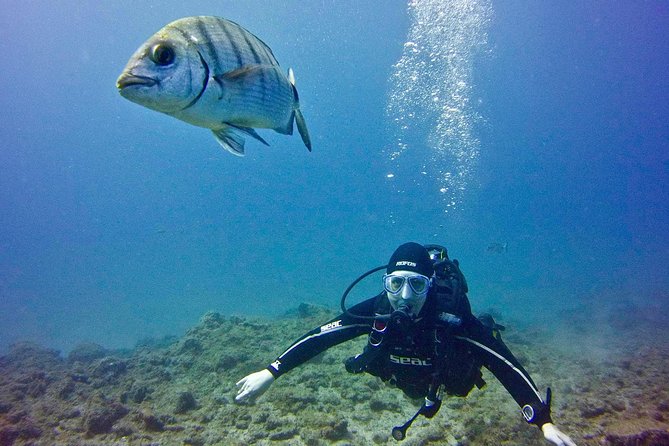 DISCOVER SCUBA DIVING - First step to your certification - First, understand the PADI Discover Scuba advantage