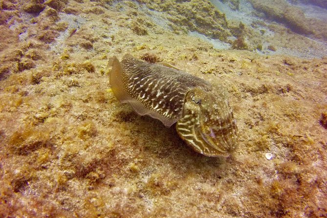 DISCOVER SCUBA DIVING - First step to your certification - Price and value: what $183.42 really covers