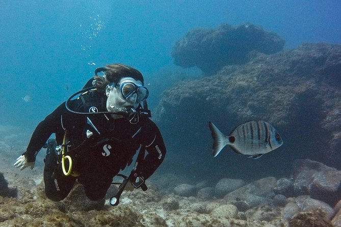 DISCOVER SCUBA DIVING - First step to your certification - Getting ready: gear rental, insurance, and a safety-first mindset