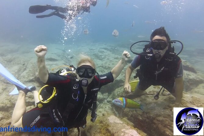 Discover Scuba Diving, free pictures included - What you will see: volcanic formations and marine life