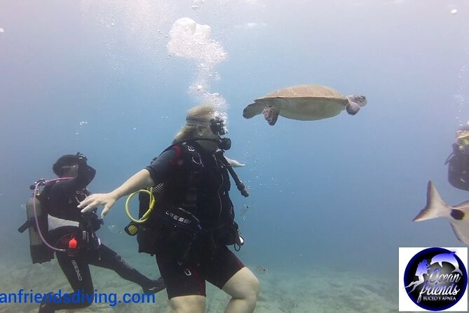 Discover Scuba Diving, free pictures included - Photos included, video optional, and value for $95.03
