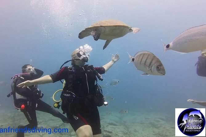 Discover Scuba Diving, free pictures included - Who this is best for on Tenerife