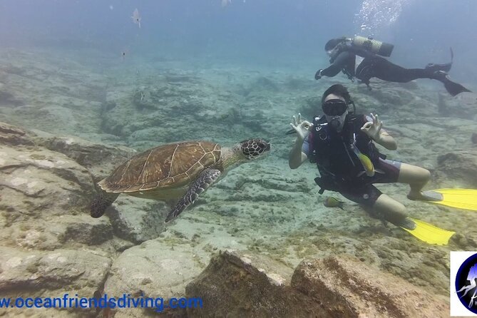 Discover Scuba Diving, free pictures included - Shallow practice first, then up to 12 meters