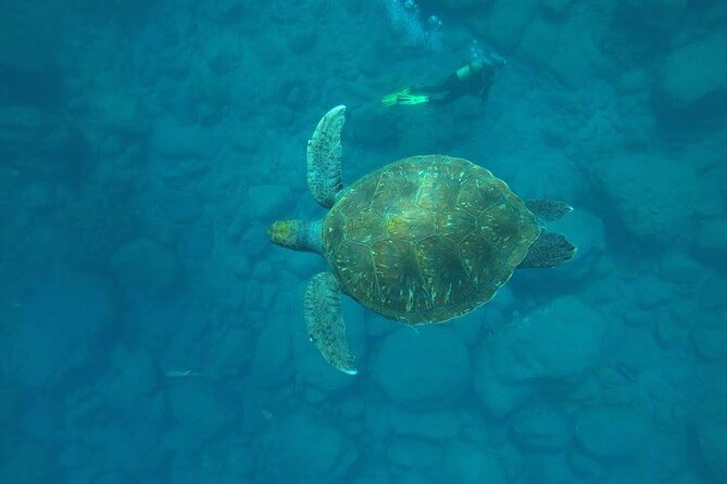 Discover Scuba Diving in Tenerife - Key things I’d circle before you book