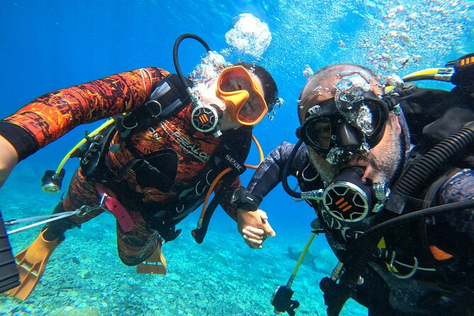 Discover Scuba Diving in Tenerife - Your first underwater session in Tenerife, in the bay of La Caleta