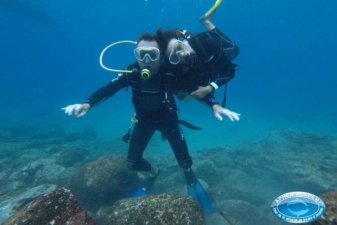 Discover Scuba Diving in Tenerife - Where you meet and how the timing usually feels